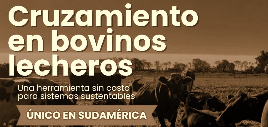 0 01 curso posgrado 00a