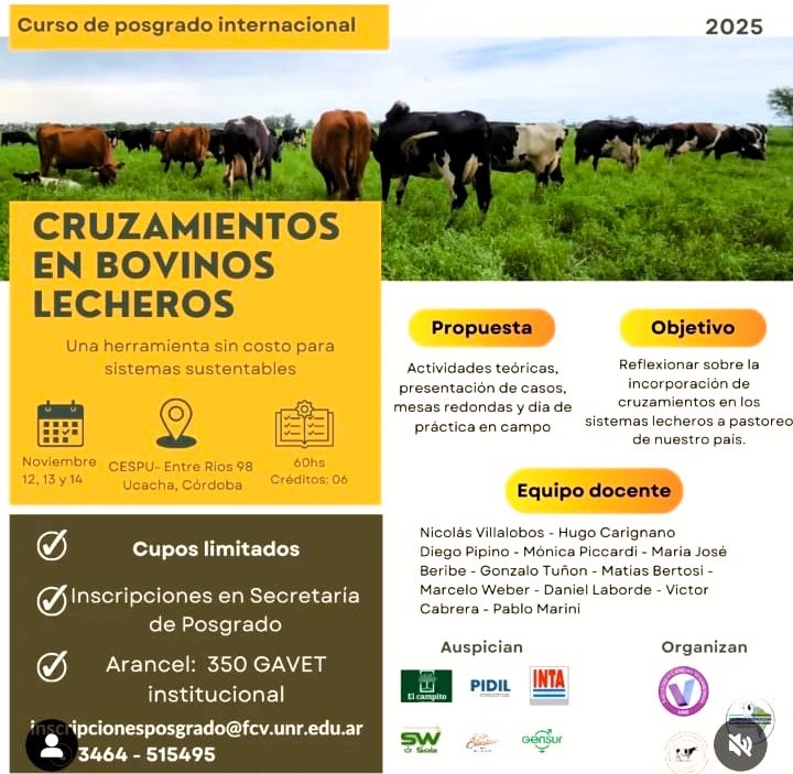 0 01 el campito 01 1