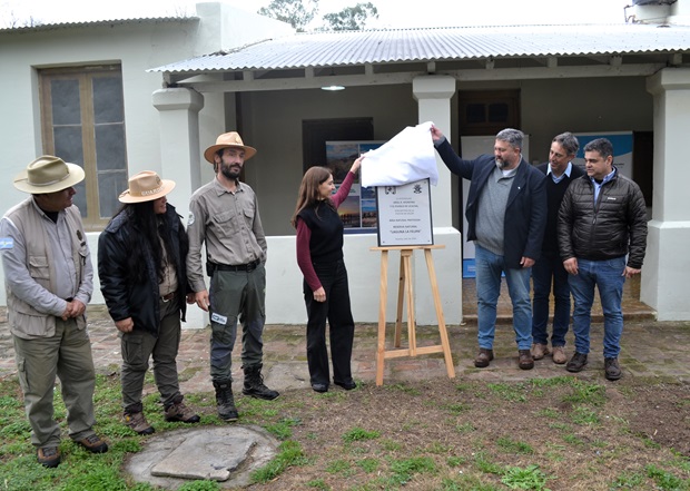 1A LA FELI JULIO 010 B