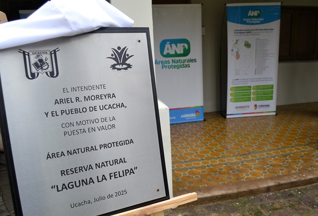 1A LA FELI JULIO 011 B