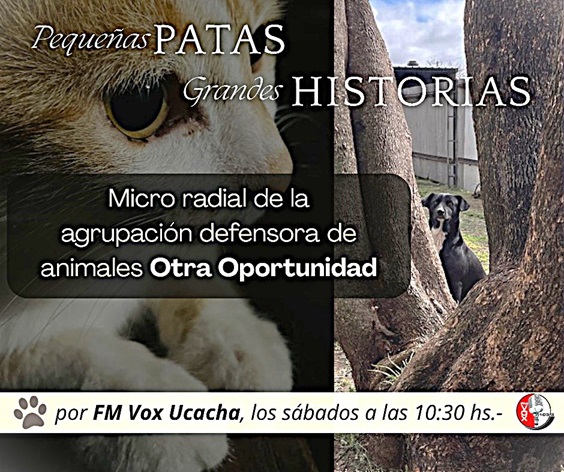 1a Pequelas patas 01