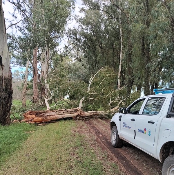 1a resreva vientos 01