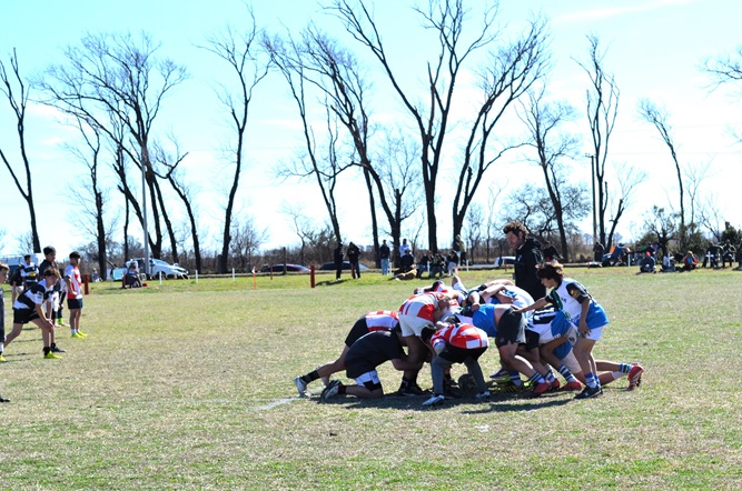 1a rugby03 b