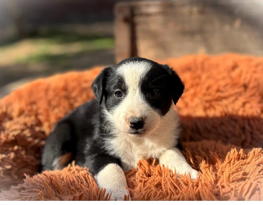 38ac6dde d0f2 4939 a19b c040cbbf332c