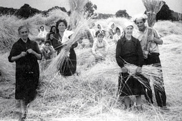 aLosCisnes 02 muestra mujeres rural