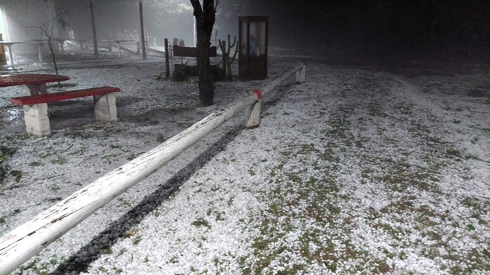 alas piedras 26oct23 00