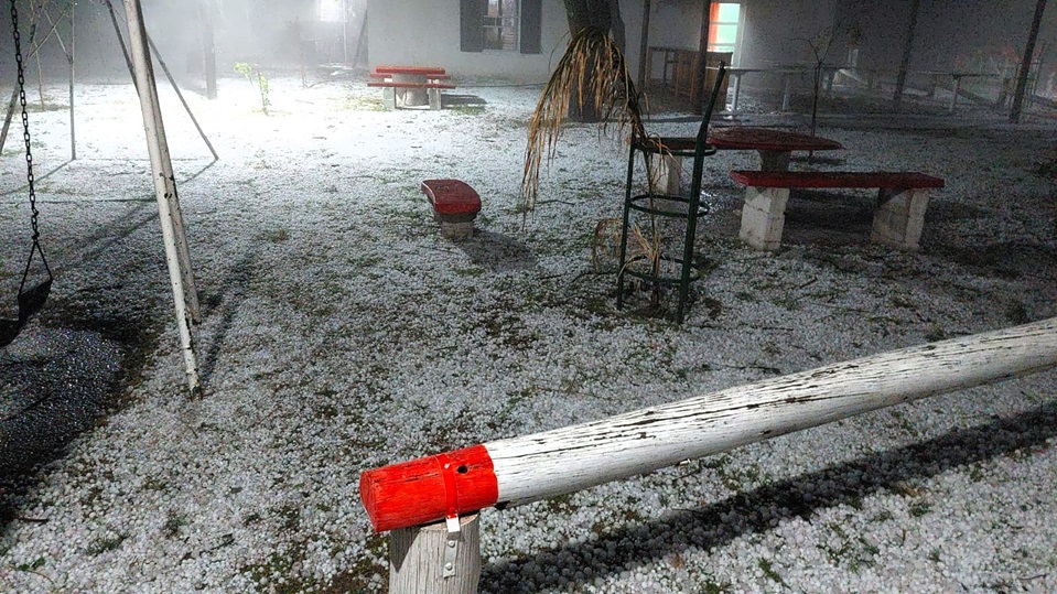 alas piedras 26oct23 01