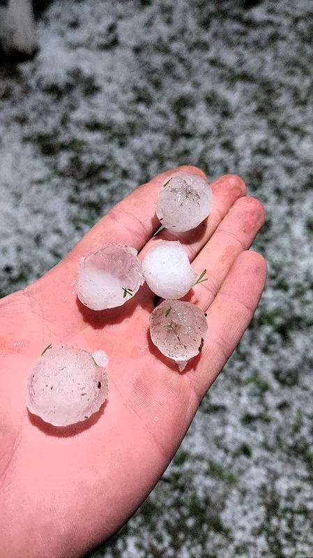 alas piedras 26oct23 03