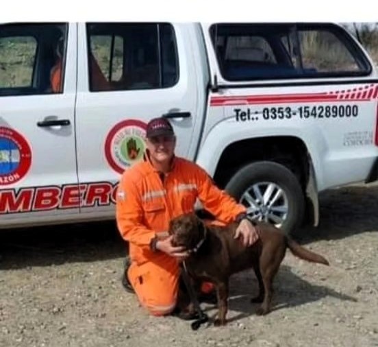 chazon bomberos perro2 c