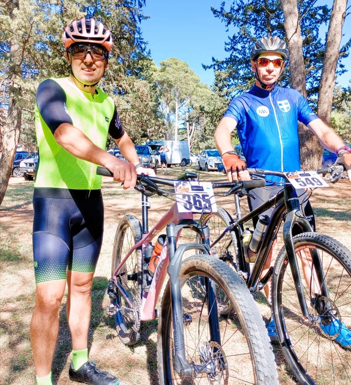 cignoloni y simonsini