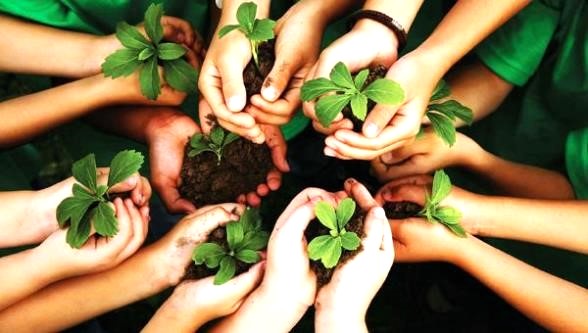 conciencia ambiental