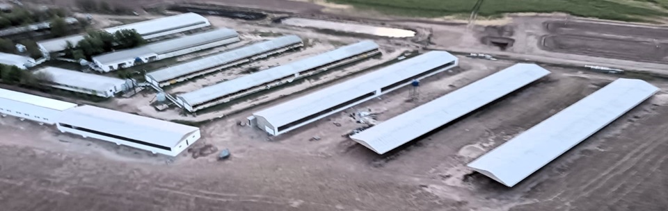 granja don omar 01 b