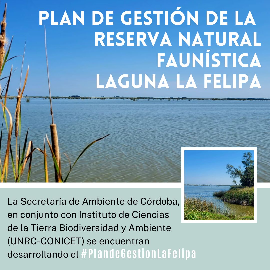 plan gestion 01