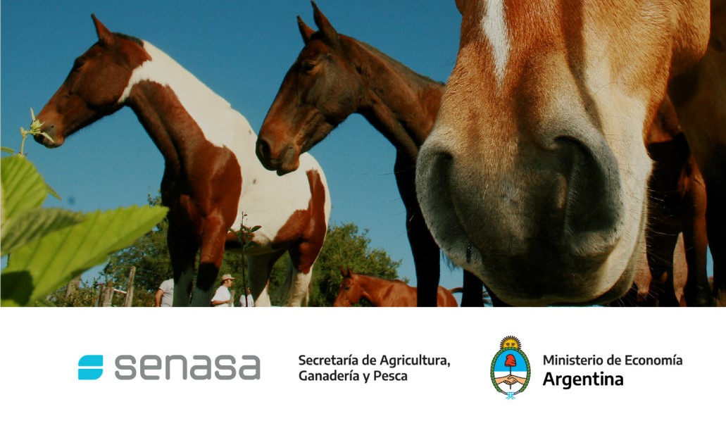 senasa eventos equinos